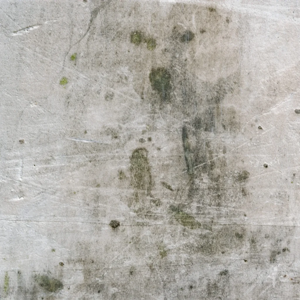 Nærbillede af indendørs væg med skimmelsvamp og misfarvninger – mørke pletter spredt over lys overflade.